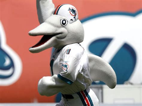 The dolphin mascot of the miami dolphins
